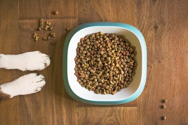 dog-food-5168940_640
