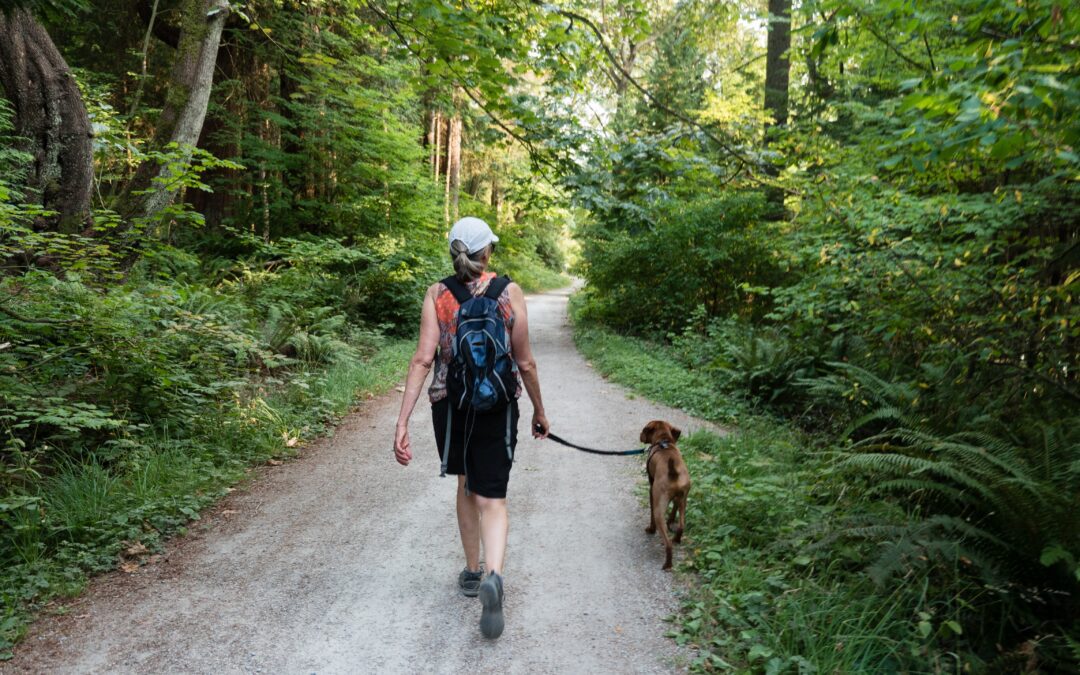 Owner and small brown dog walking on a trail